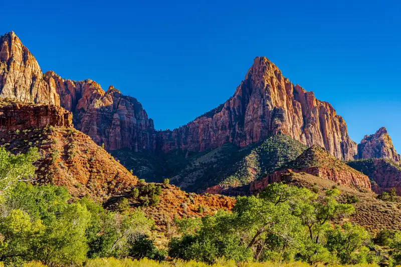 A stunning panoramic view of Zion National Park features towering red sandstone mountains under a clear, vibrant blue sky. The prominent peaks, bathed in the warm light of what appears to be late afternoon, exhibit vertical striations and sharp angles. In the foreground, a verdant landscape of green trees and shrubs forms a lush contrast to the arid mountains. The lower slopes of the mountains are covered in reddish-brown brush, leading up to the more dramatic rock faces.